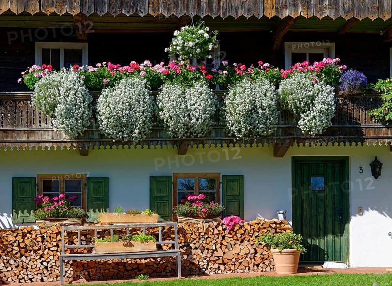 Flowers on farmhouse