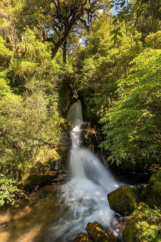 Waiatiu Falls