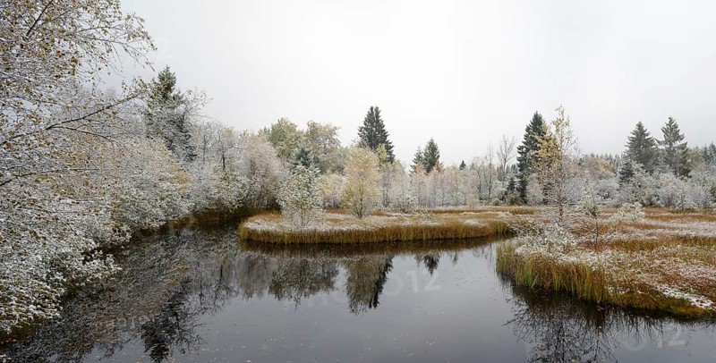 Moor lake near Mutzenich