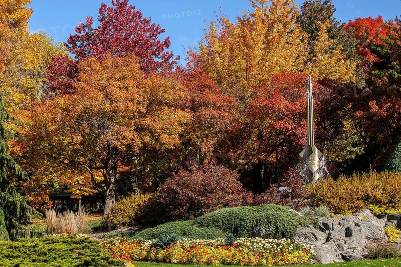 Selbach Fountain