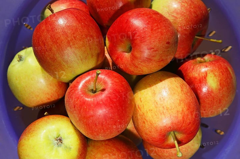 Harvested apples