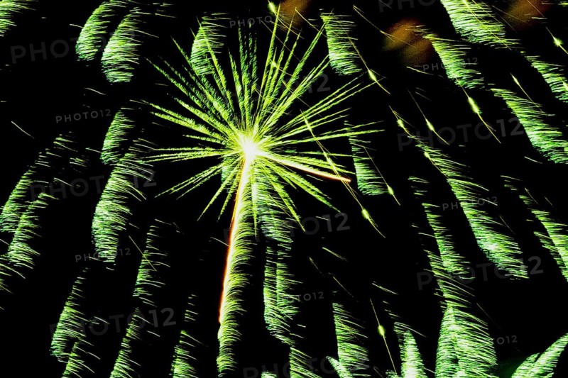 Green fireworks in night sky