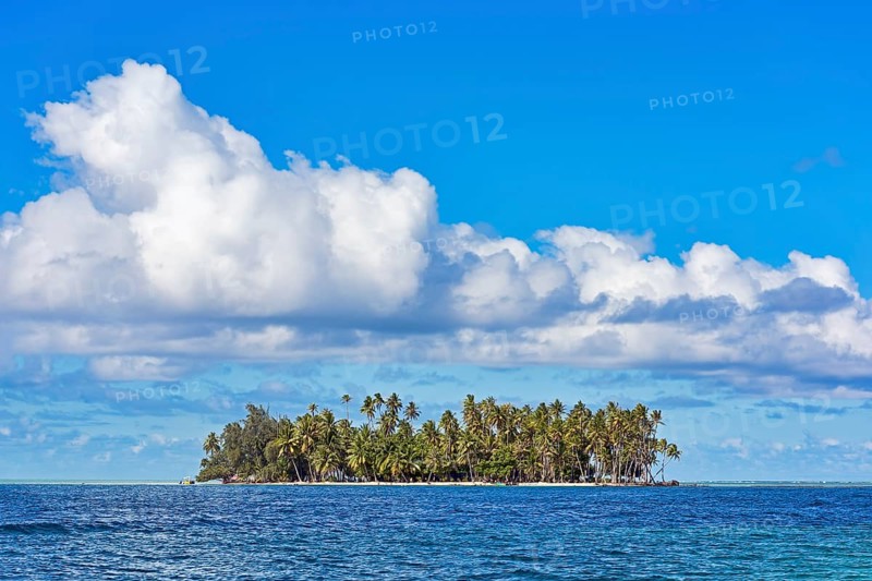 Small island with palm trees