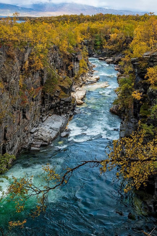 Autumnal Abisko Canyon