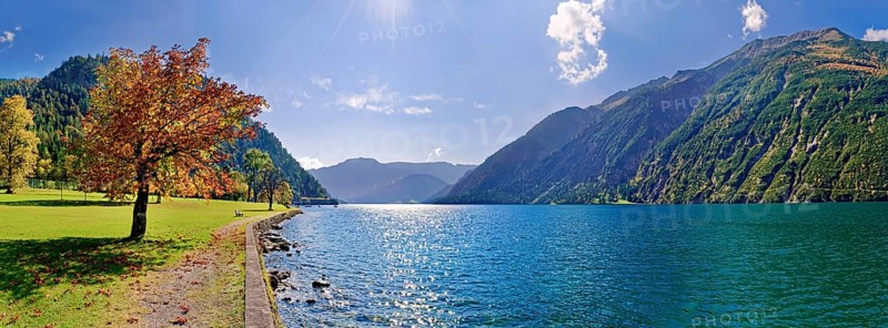 Lake Achensee with autumn-coloured deciduous tree