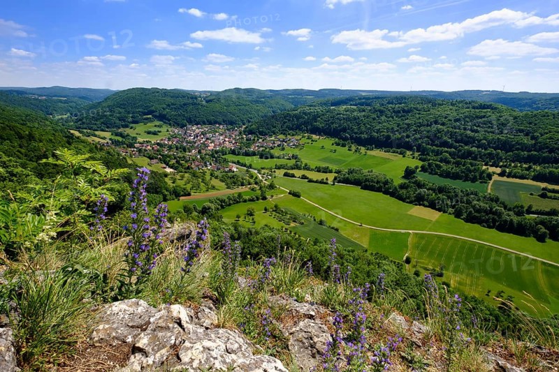 Forrenbach near Happurg