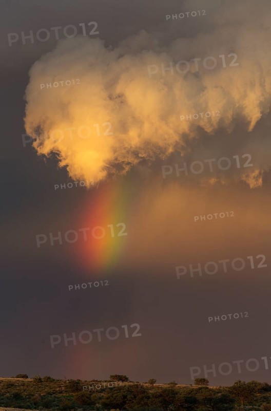 Evening thunderstorm with Cumulonimbus cloud and rainbow above a sand dune