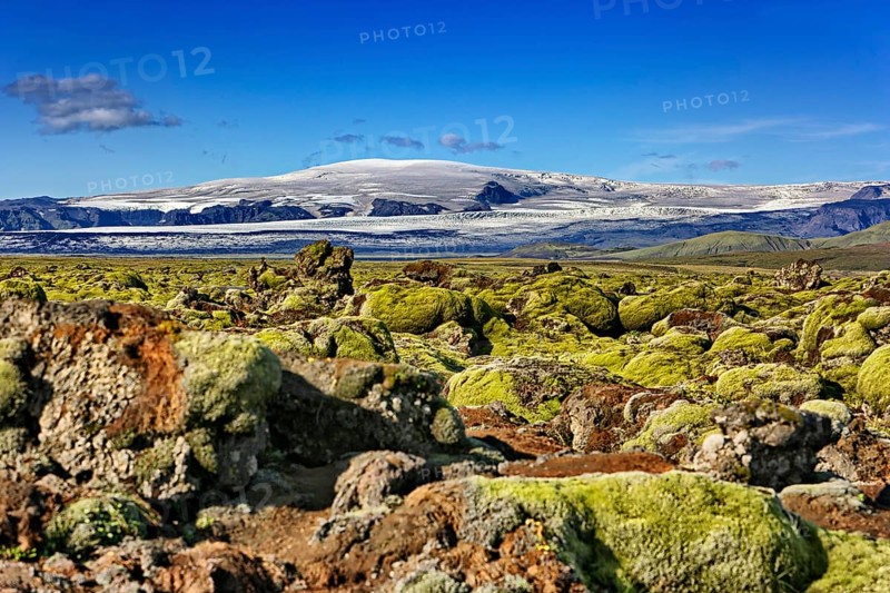 Moss-covered lava field Laufskalavaroa