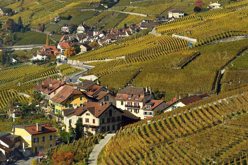Vineyards in autumn with view of winemaking villages Epesses and Riex