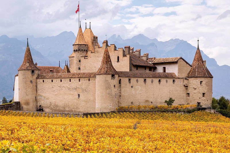 Aigle Castle surrounded by vineyards