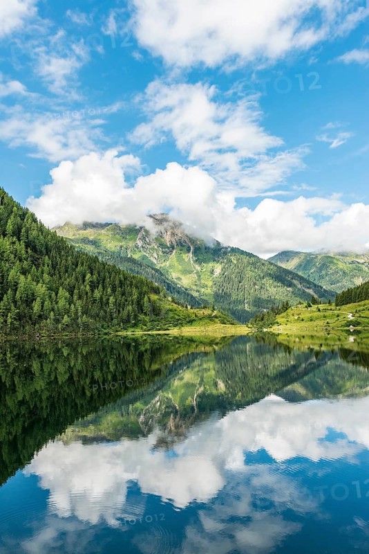 Forest and mountains