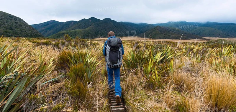 Hiker on hiking trail through swamp landscape