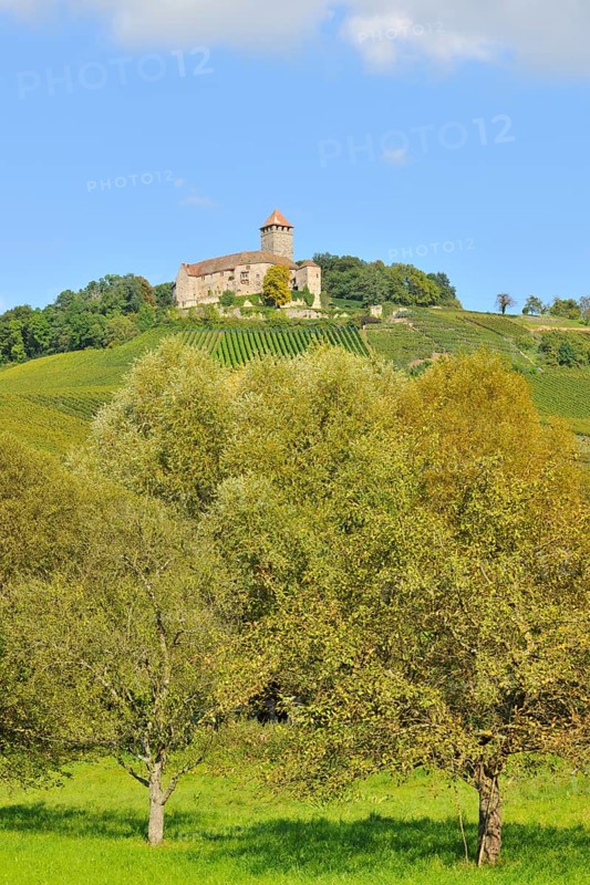 Castle Lichtenberg