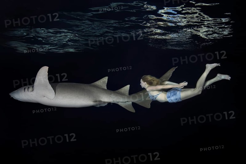 Young beautiful woman swims with shark at night