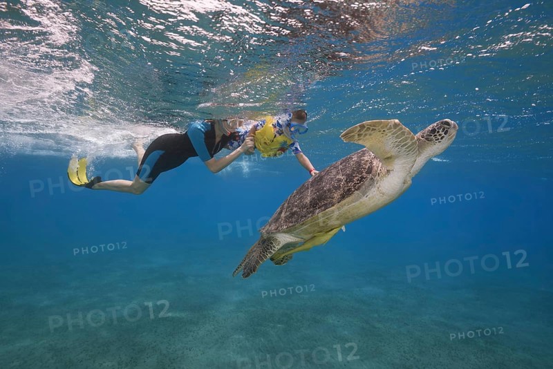 Woman and little boy with mask and fins swim with Green Sea Turtle