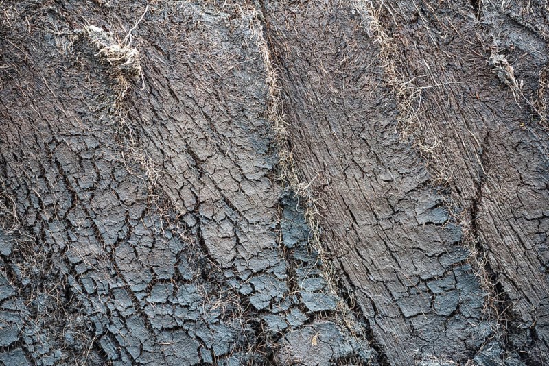 Cross section of an engraved peat