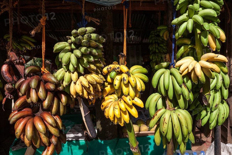 Fruit stall