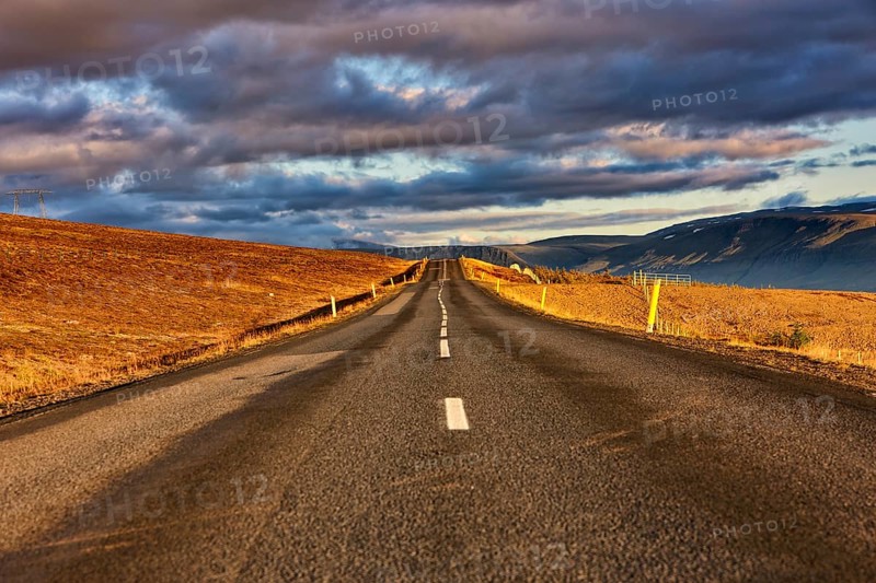 Lonely road
