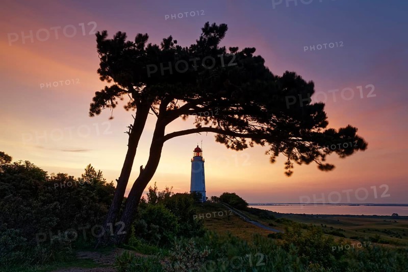 Lighthouse Dornbush on the Schluckwieksberg