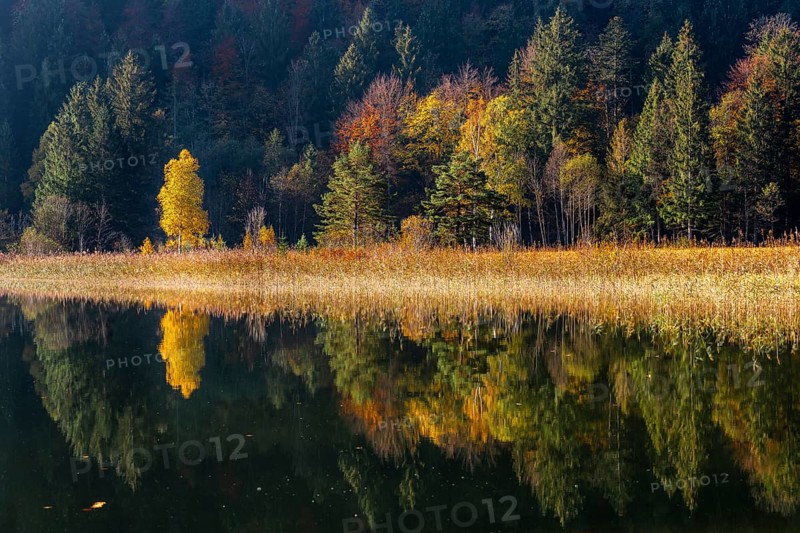 Water mirroring