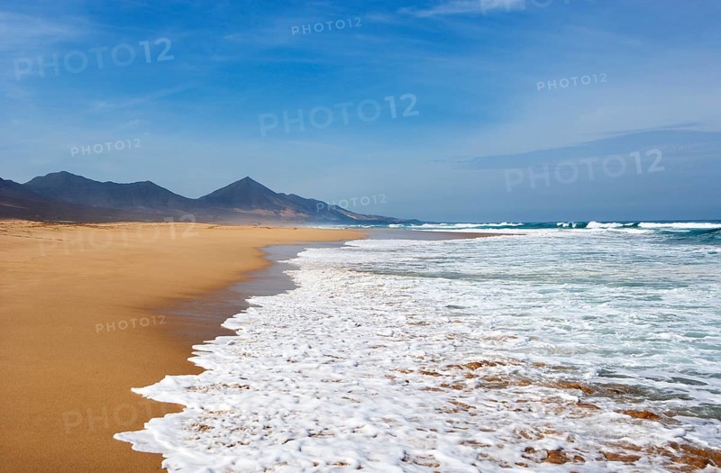 Surf