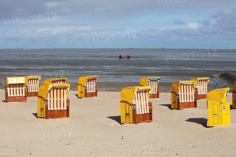 Beach chairs on sandy beach