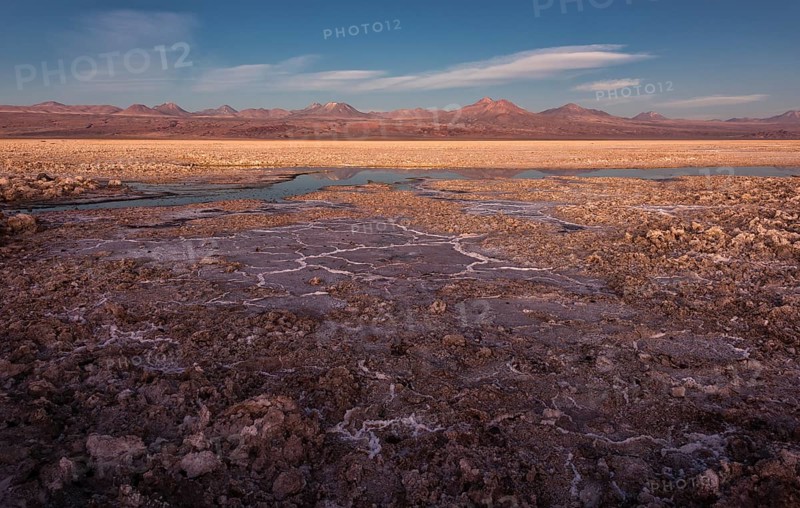 Laguna Chaxa lagoon in the salt lake Salar de Atacama