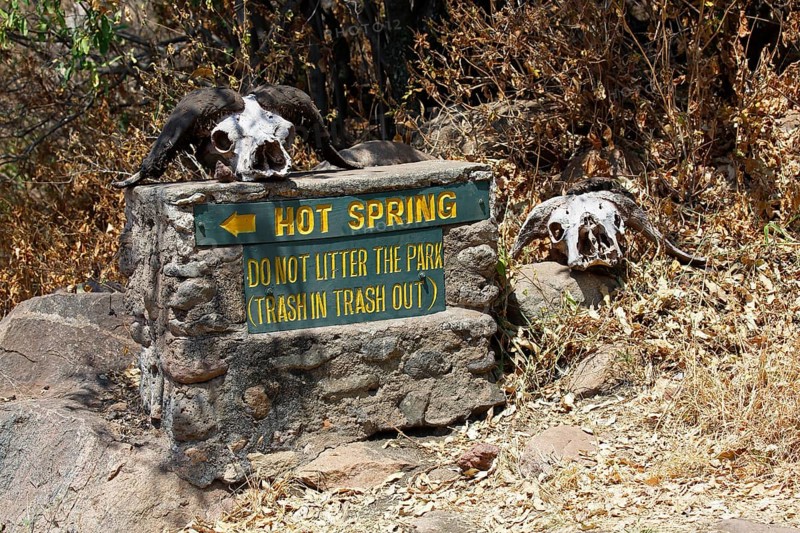 Sign decorated with buffalo skulls