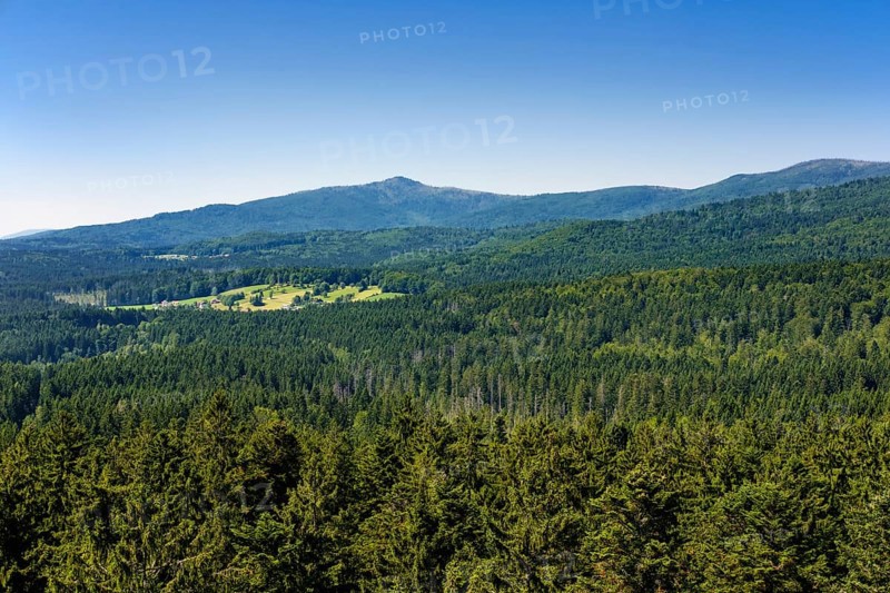 View from the treetop path Bavarian Forest near Neuschonau