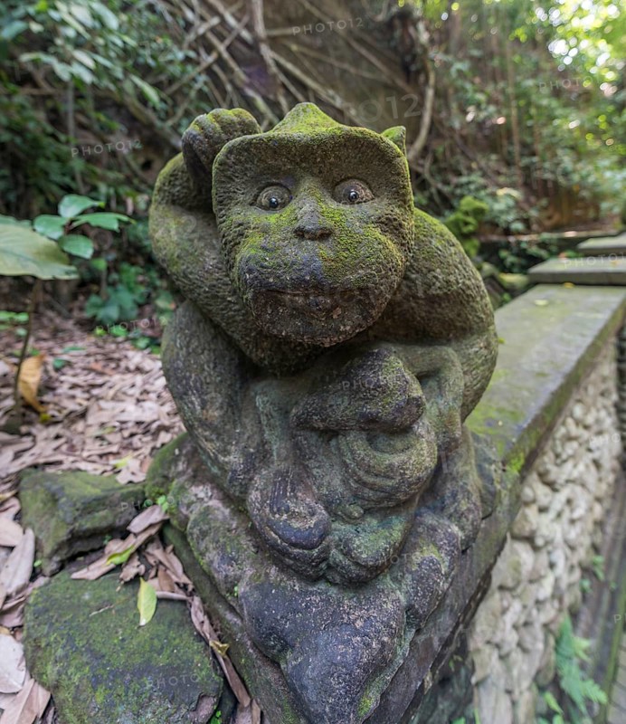 Monkey statue