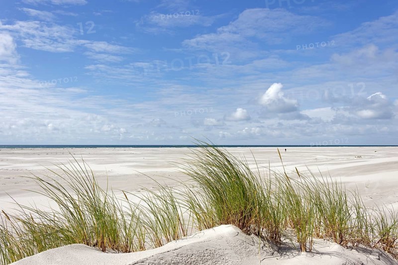 Dunes with sandy beach