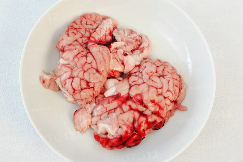 Calf's brain