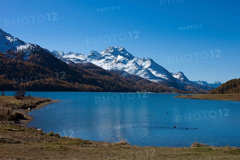 Silvaplana lake in the Upper Engadine