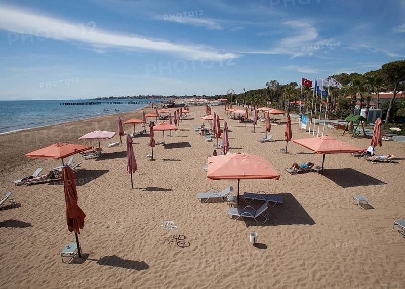 Empty beach with sunshades