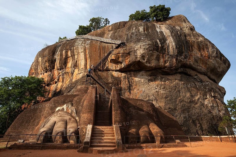 Lion Staircase