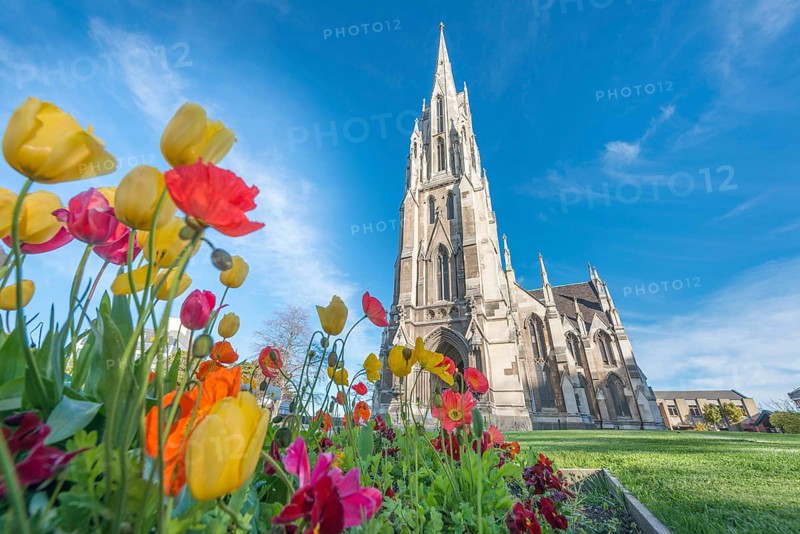 Tulips blooming in front of First Church of Otago