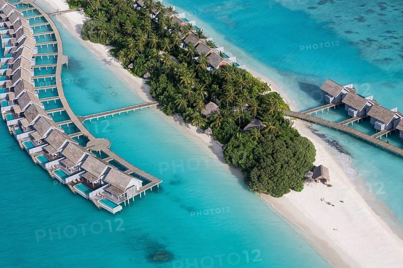 Tropical Island