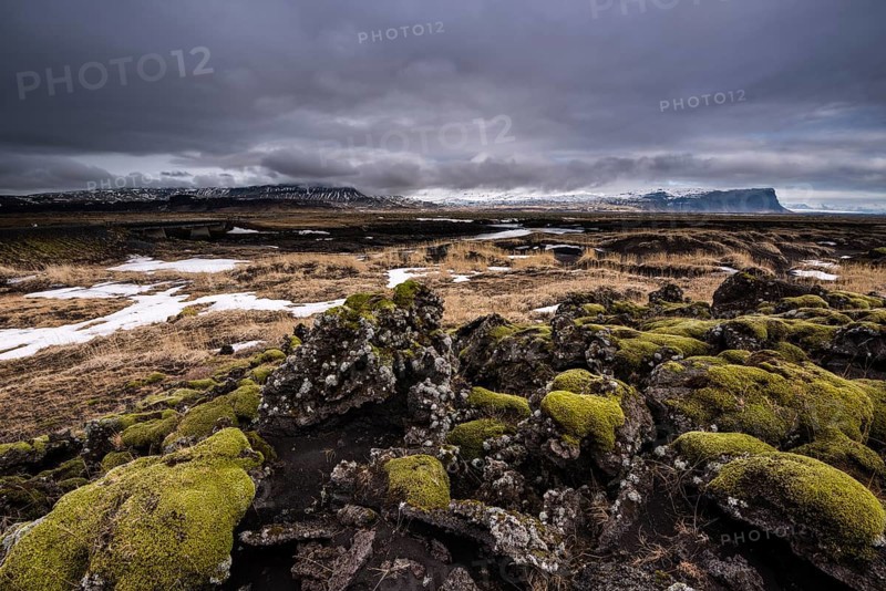 Moss-covered lava rock