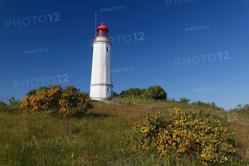 Lighthouse Dornbush on the Schluckwieksberg