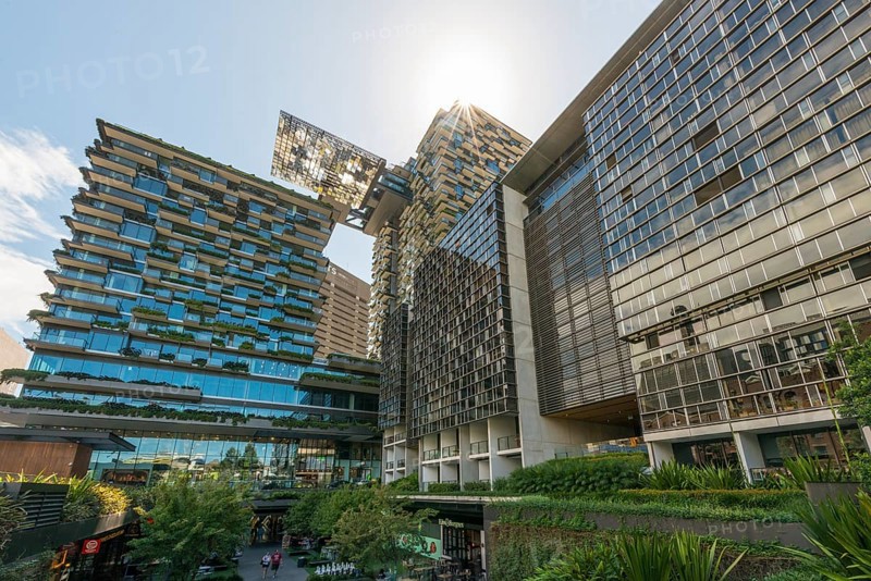 Green high-rise with plants on facade