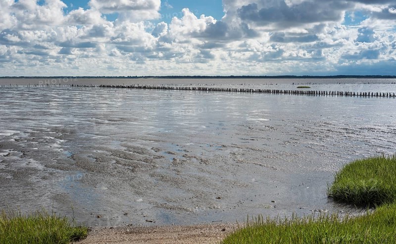 Low tide