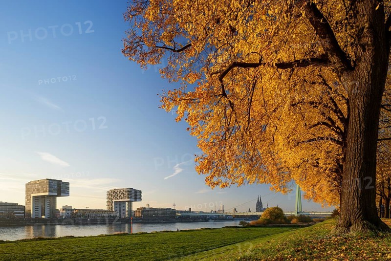 View from Poller Wiesen across the Rhine to Kranhauser