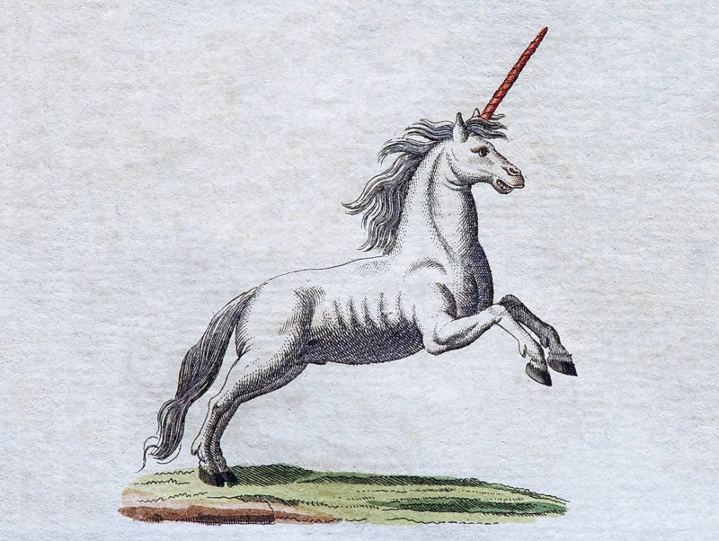 Unicorn