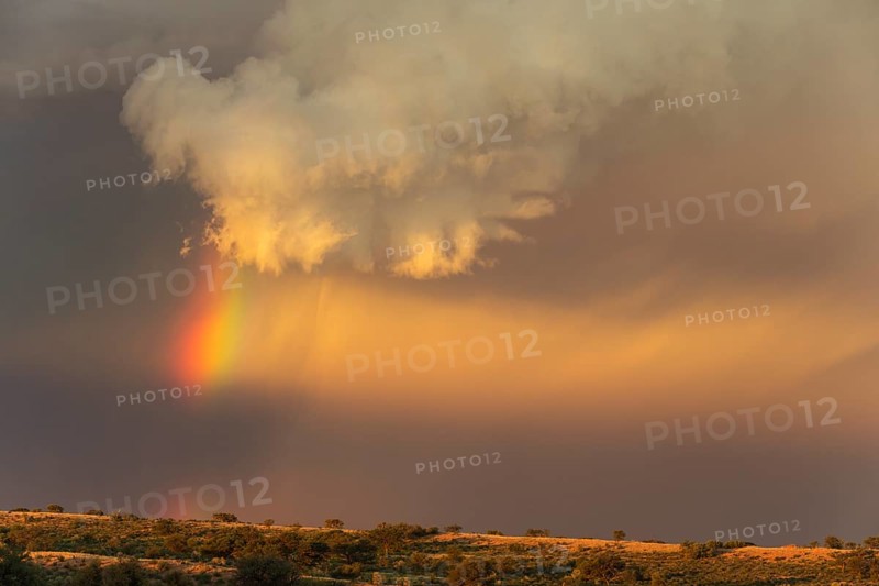 Evening thunderstorm with Cumulonimbus cloud and rainbow above a sand dune