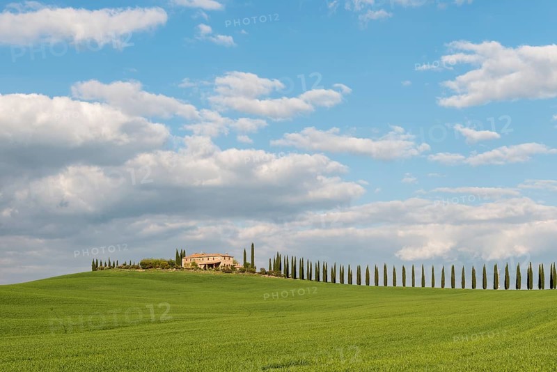 Country estate Poggio Covili with road lined with cypress trees