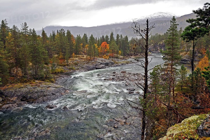Autumn atmosphere