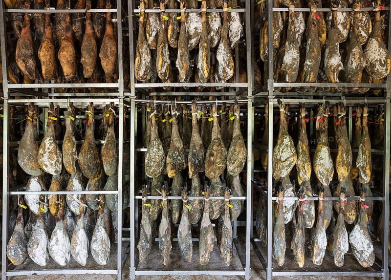 Ham of Black Iberian Pig in a curing factory