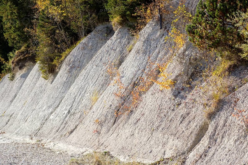 Nagelfluh or conglomerate on the banks of the Isar