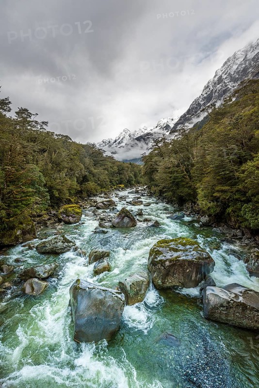 Hollyford river with snowy mountains