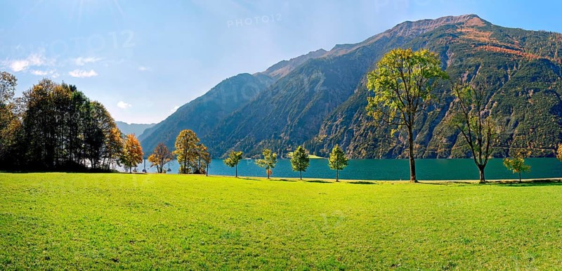 Green meadow with Lake Achensee and autumn-coloured deciduous trees